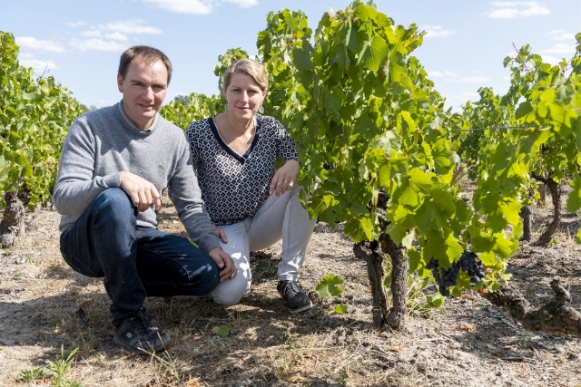Vignoble Dubreuil Vignoble Dubreuil