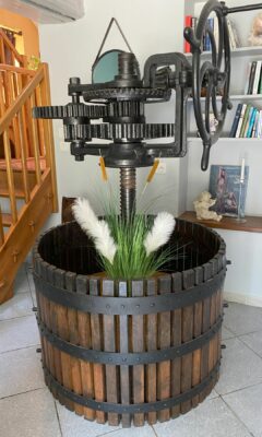 Découvrez les vignes et les vins en Touraine -