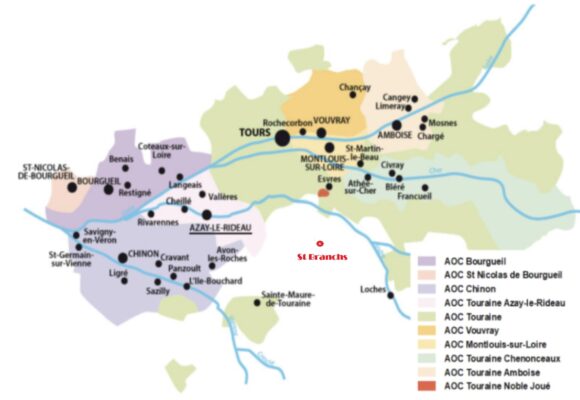 Découvrez les vignes et les vins en Touraine -